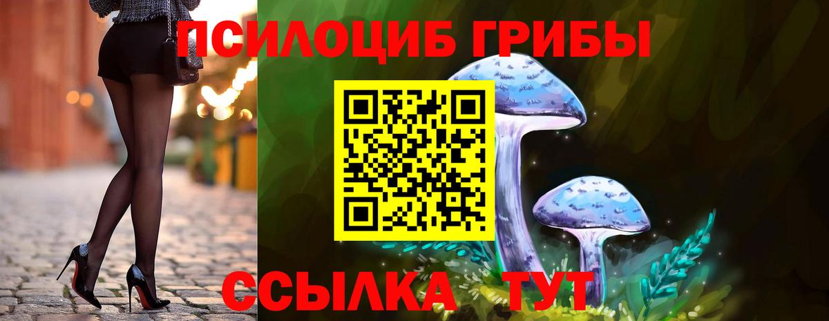 Галлюциногенные грибы ЛСД  что такое   Екатеринбург  Вход с VPN 